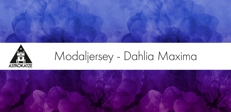VB26-015 – Modaljersey