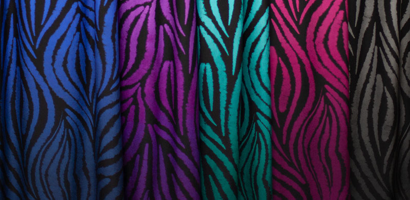 Zebrablume