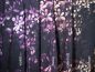 Preview: ColorFlowers - dark - mono rosenholz - Bio-Sommersweat