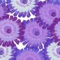 Preview: ArtBlomma - cool violet - Viskose Webware - VORBESTELLUNG