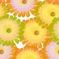 Preview: ArtBlomma - fun spring - Viskose Webware - VORBESTELLUNG