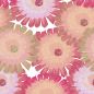 Preview: ArtBlomma - sweet summer - Viskose Webware - VORBESTELLUNG