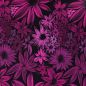 Preview: BlossomBreeze - beere - Bio-Jersey - 2,15 m RESTSTÜCK