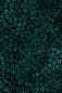 Preview: ColorBlossom - mono petrol - Viskose-Jersey - VORBESTELLUNG