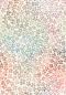 Preview: ColorBlossom - nude pastell - Bio Popeline - 100 % CO - Pre-Order - BITTE LESEN!
