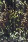 Preview: ColorDrops BIG - dark - moss - Bio-Sommersweat