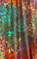 Preview: ColorLeaves - warm energy - Bio-Jersey