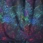 Preview: ColorLeaves MINI - cold energy - Viskose-Jersey - VORBESTELLUNG