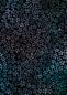 Preview: ColorBlossom - fantasy night - blau / lila - Bio-Jersey