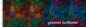Preview: ColorLeaves - 2in1 Design - energy - Badeanzugstoff - UPF 40+