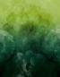 Preview: Dahlia Maxima - lovely green - Modaljersey - VORBESTELLUNG