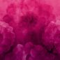Preview: Dahlia Maxima - very berry - Viskosejersey
