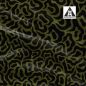 Preview: Fantasy Animal Print BIG - oliv - Bio-Jersey - VORBESTELLUNG