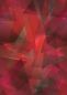 Preview: Kristallfantasie - himbeerrot - Bio-Jersey