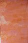 Preview: LostPlace - orange - Bio-Jersey