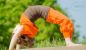 Preview: Bio-Jersey, extrabreit, orange (B014)