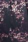 Preview: ColorFlowers - dark - mono rosenholz - Bio-Sommersweat