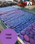 Preview: Hope BIG - magic violet - Bio-Sommersweat