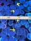 Preview: VibrantBlossom - electric blue - Viskose Webware - 2. Wahl