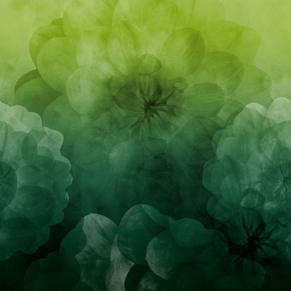 Dahlia Maxima - lovely green - Modaljersey - VORBESTELLUNG