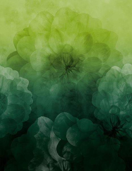 Dahlia Maxima - lovely green - Modaljersey - VORBESTELLUNG