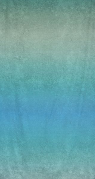 LeatherGradient - mare - Bio-Sommersweat 290 g/m2 - 2,20 m RESTSTÜCK