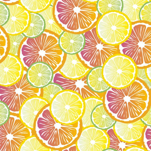 Lemonada - fruits - Bio-Jersey - 2,00 m RESTSTÜCK