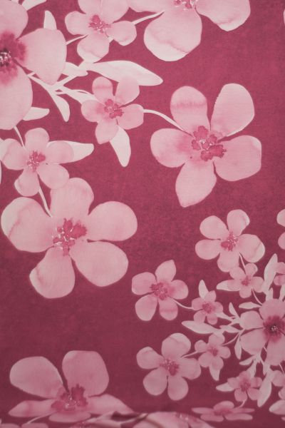 SoftBlossom - mono fuchsia - Bio-Jersey
