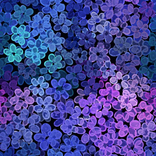 VibrantBlossom - electric blue - Bio-Jersey - A/B-Ware - 1,80 m RESTSTÜCK