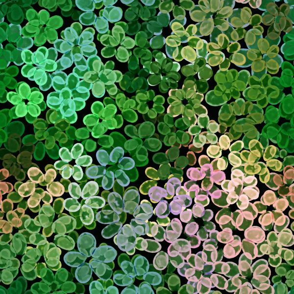 VibrantBlossom - green garden - Bio-Jersey - A/B-Ware - 2,50 m RESTSTÜCK