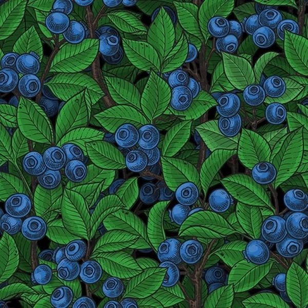 Blueberry / Heidelbeere - Bio-Sommersweat