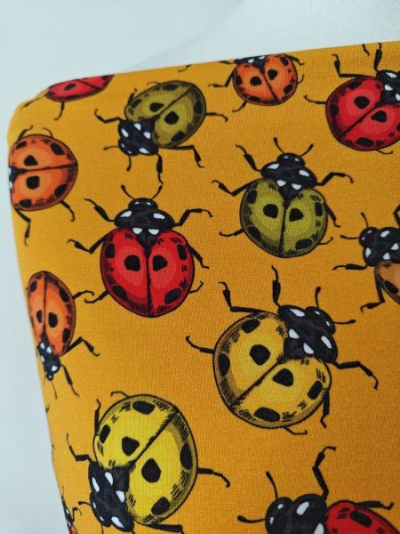 Ladybird - orange - Bio-Sommersweat - 0,80 m RESTSTÜCK