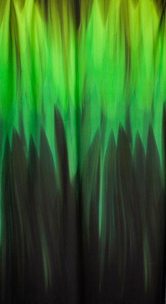 Aurora Floralis - jungle feeling - Bio-Jersey - 1,10 m RESTSTÜCK
