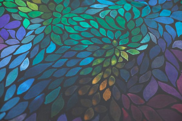 ColorLeaves - cold energy - SOFTSHELL