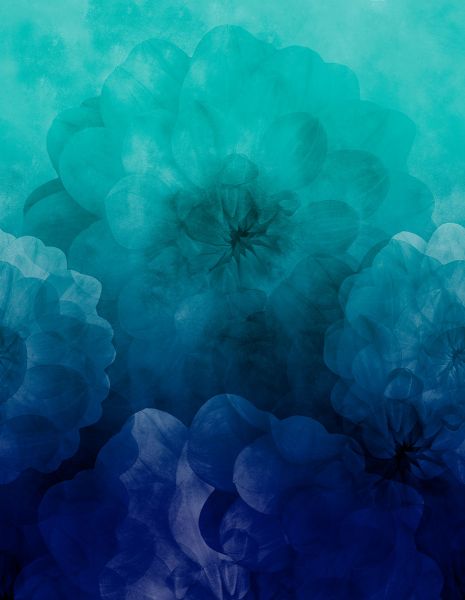 Dahlia Maxima - cool blue - Modaljersey - VORBESTELLUNG