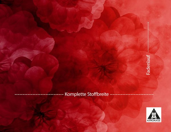 Dahlia Maxima - poppy red - Modaljersey - VORBESTELLUNG