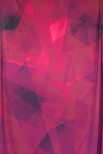 Kristallfantasie - crazy berry - Viskose-Jersey - Sonderedition - 2,00 m RESTSTÜCK