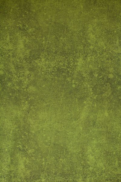 LeatherLook antique - moosgrün - Bio-Jersey - 2,50 m RESTSTÜCK