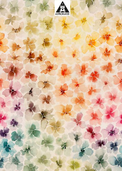 RainbowBlossom - energy - Bio-Sommersweat 290 g/m2 - VORBESTELLUNG