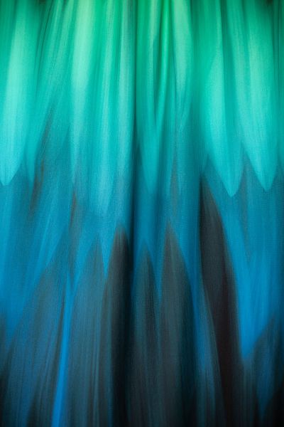 Aurora Floralis - cool lagoon - Bio-Jersey
