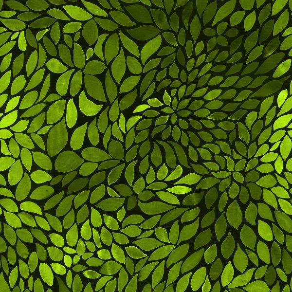 ColorLeaves MINI - mono moosgrün - Bio-Jersey