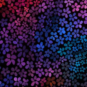 ColorBlossom BIG - sweet magic energy - Bio-Jersey - VORBESTELLUNG