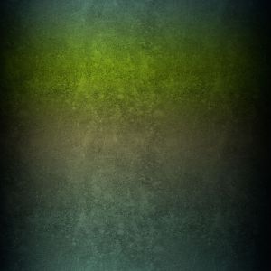 DoubleGradient - jungle - Bio-Sommersweat