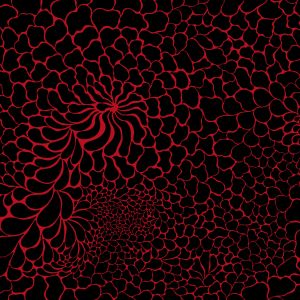 FantasyDrops - schwarz / rot - Bio-Sommersweat 230 g/m2 - VORBESTELLUNG