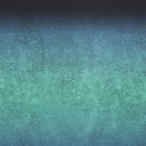 LeatherGradient - lagoon - Bio-Sommersweat 290 g/m2 - VORBESTELLUNG