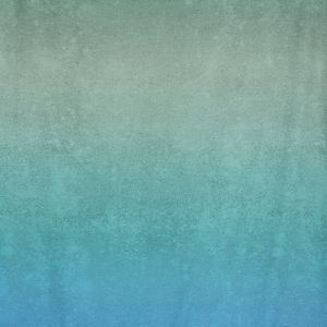 LeatherGradient - mare - Viskose Webware - VORBESTELLUNG