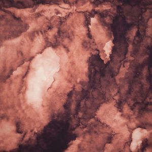 MysticSpace - mono rosenholz - Bio-Sommersweat