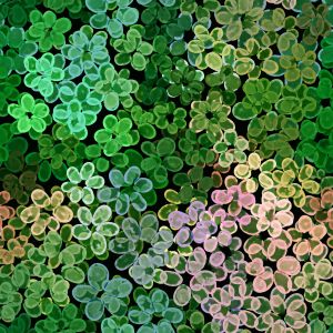 VibrantBlossom - green garden - Bio-Jersey - A/B-Ware