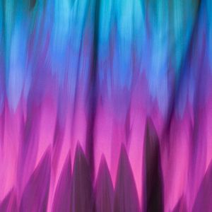 Aurora Floralis - crystal power - Bio-Jersey - 2,45 m RESTSTÜCK