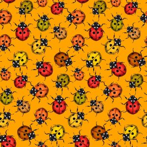 Ladybird - orange - Bio-Sommersweat - 0,80 m RESTSTÜCK
